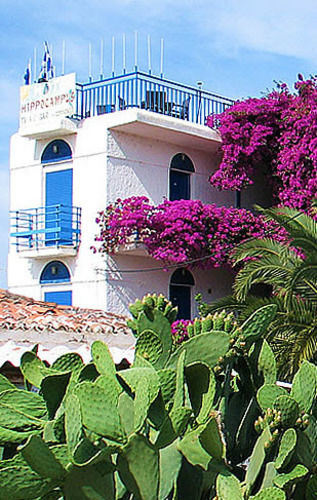 Hotel Hippocampus à Aegina Extérieur photo